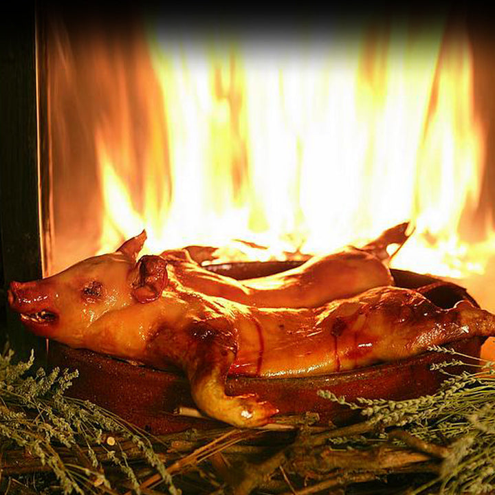 succulent pigs for sale Buy Cochinillo